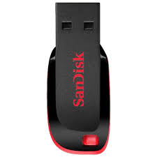 SanDisk 128GB Cruzer Blade Flash Drive