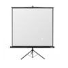 Light Wave TPS 200T Tripod Projector Screen 200 x 200