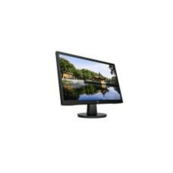 HP P204v 19.5 inch HD Widescreen Monitor