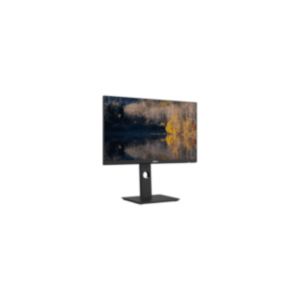 Dahua 24-Inch LM24 QHD 75Hz P301A TFT