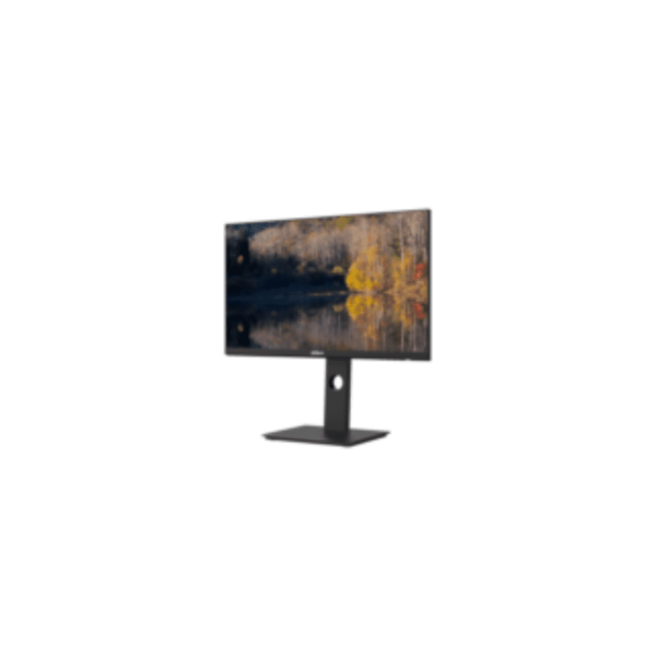 Dahua 24-Inch LM24 QHD 75Hz P301A TFT