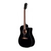 Fender semi acoustic guitars