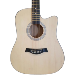 Fender 41-Inch full size acoustic guitar