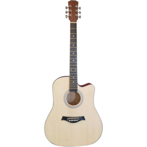 Fender 41-Inch full size acoustic guitar