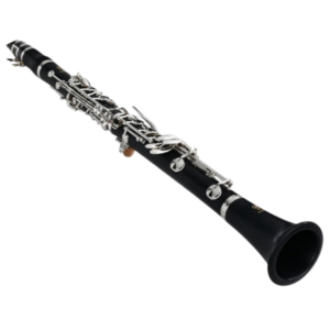 Glory GLY-PBK Professional Ebonite Bb Clarinet - Black