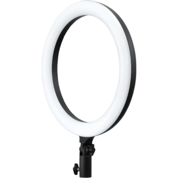 Godox LR120 Bi-Color LED Ring-Light (Black 12″)